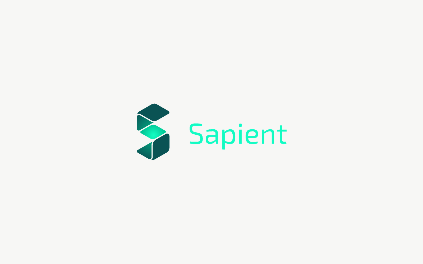 Sapient Perception company media