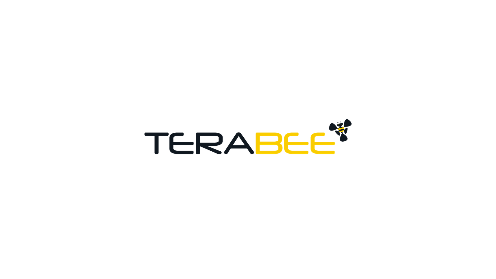 Terabee company media