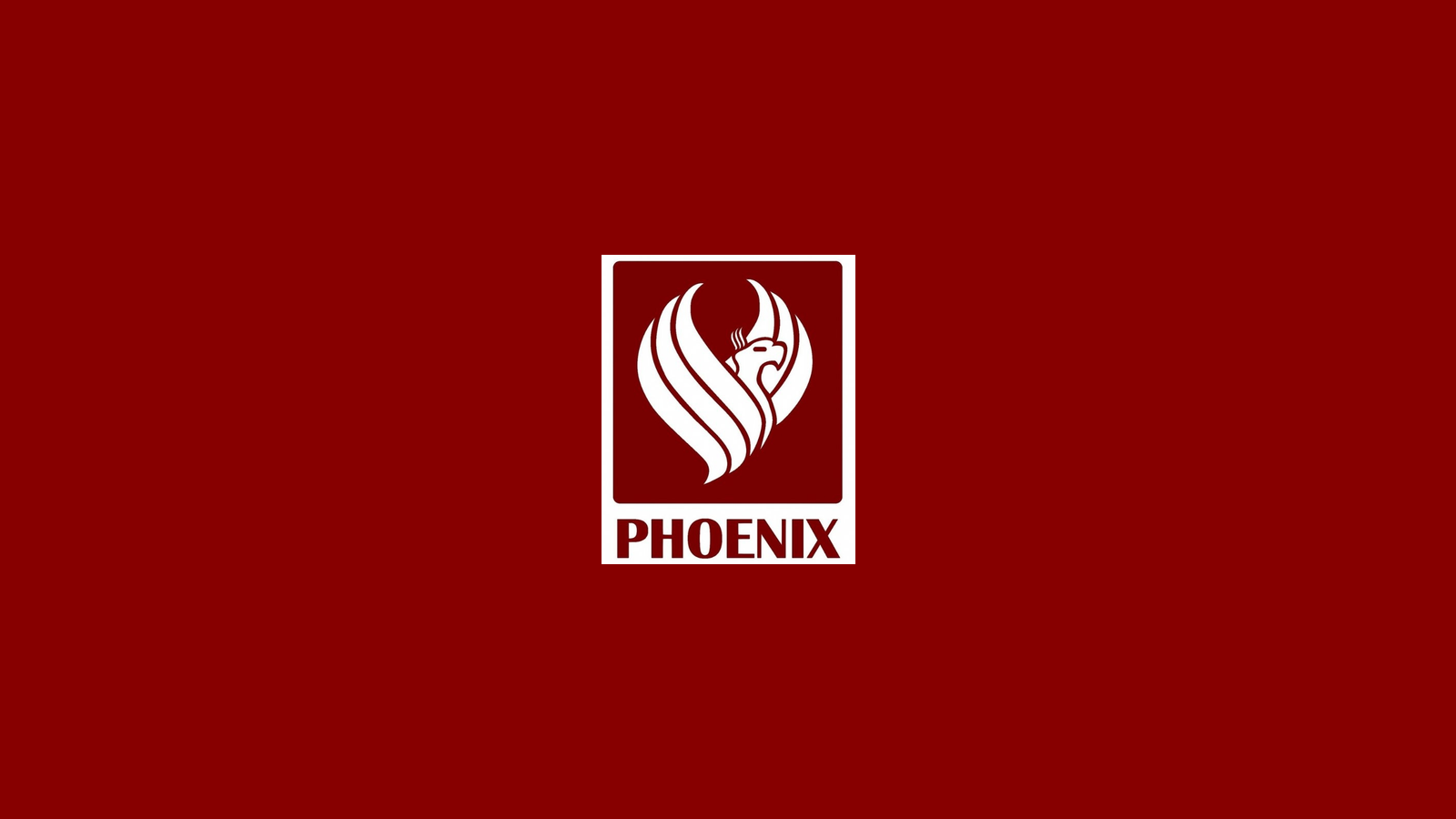 Phoenix Control Systems company media