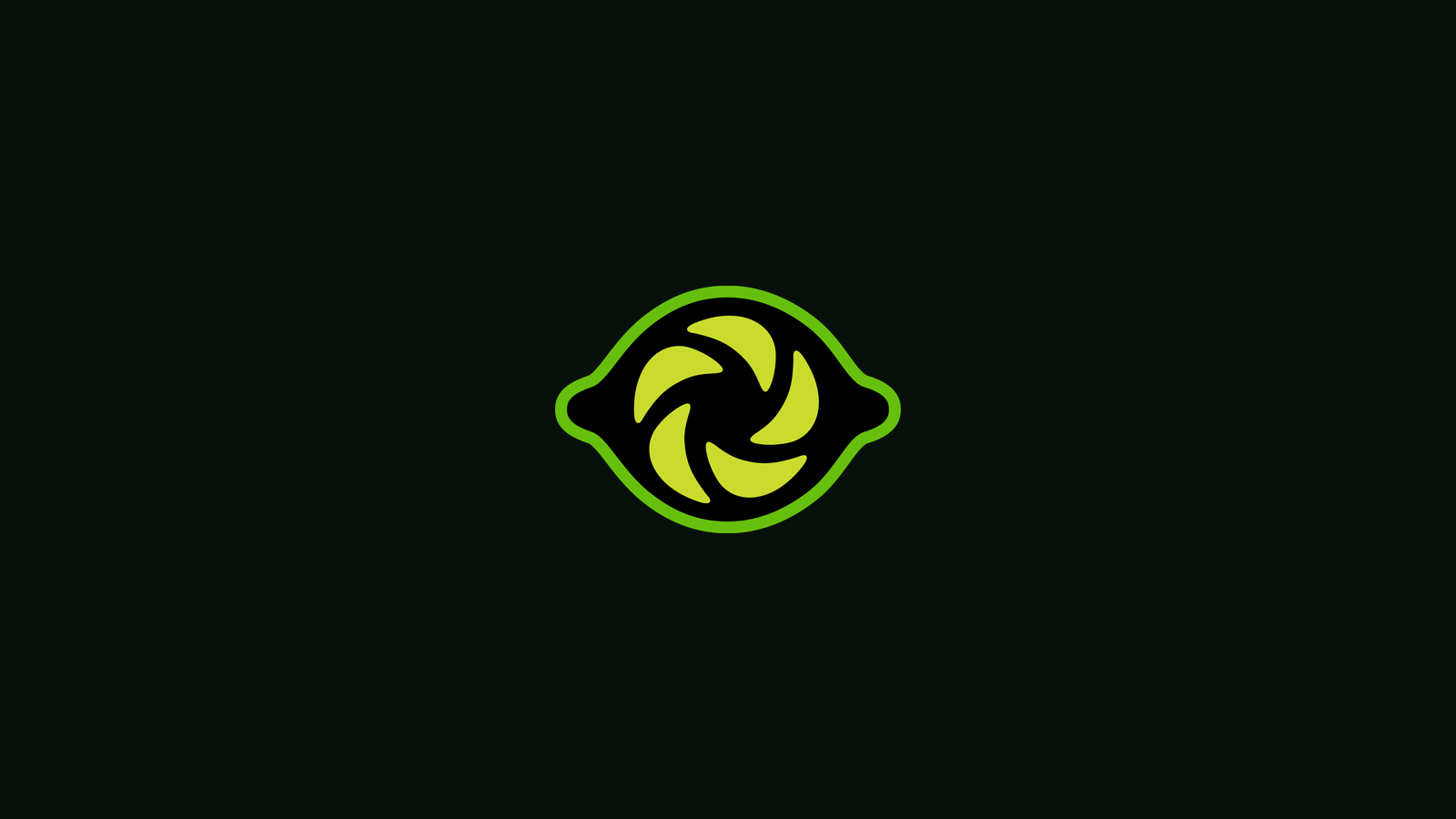 Limelight Vision company media