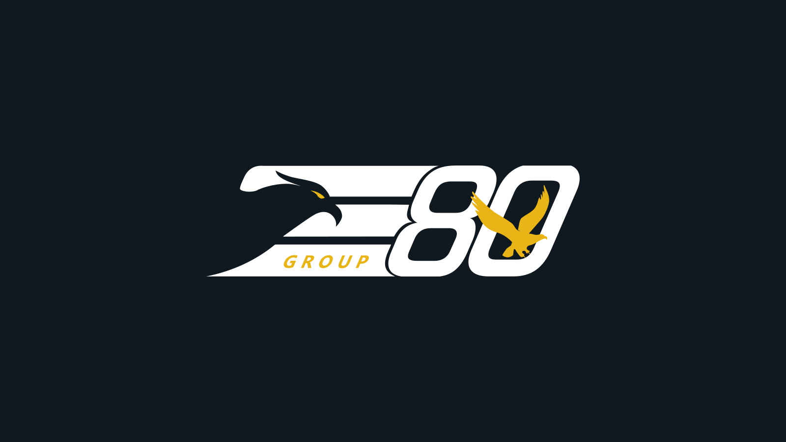 E80 Group company media