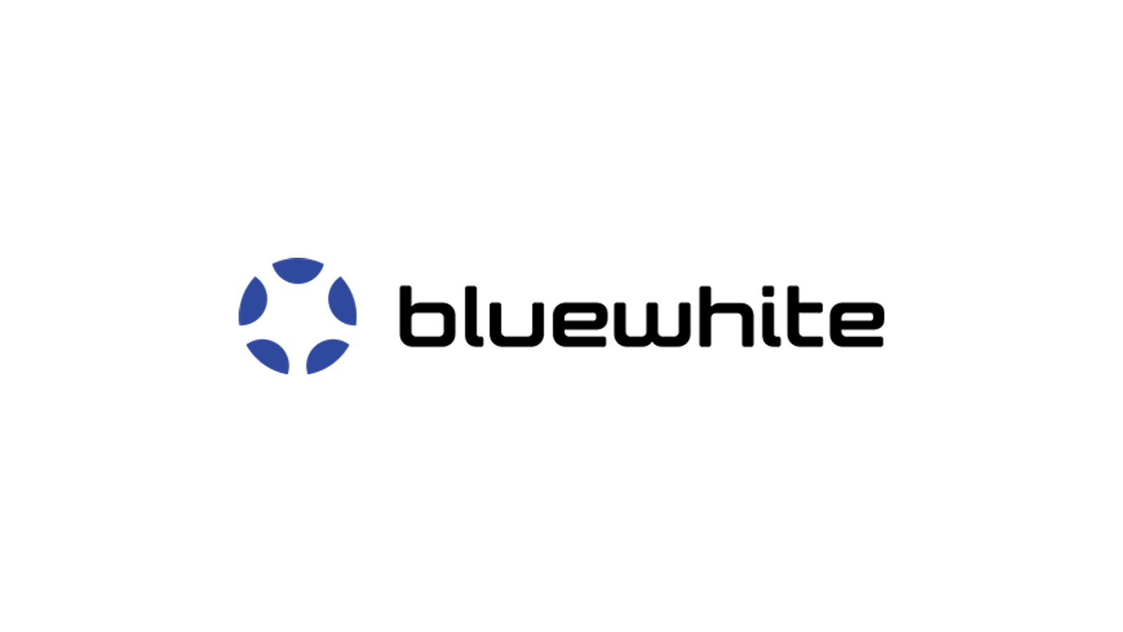 Bluewhite company media