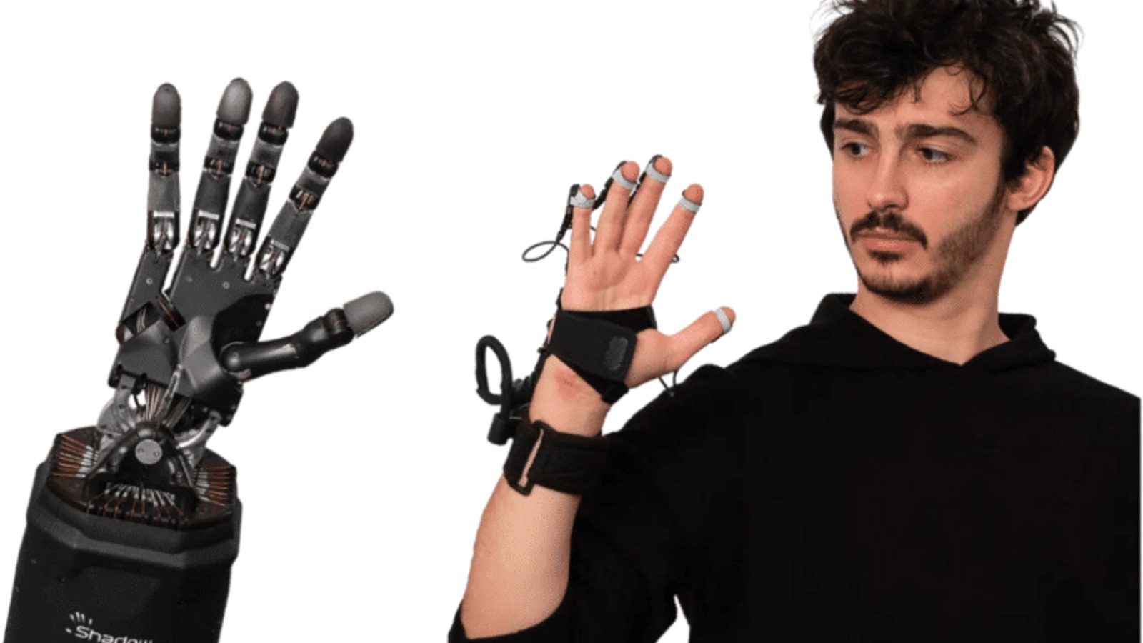 Shadow Dexterous Hand Series